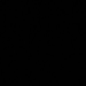 Meet your Posher, Ali